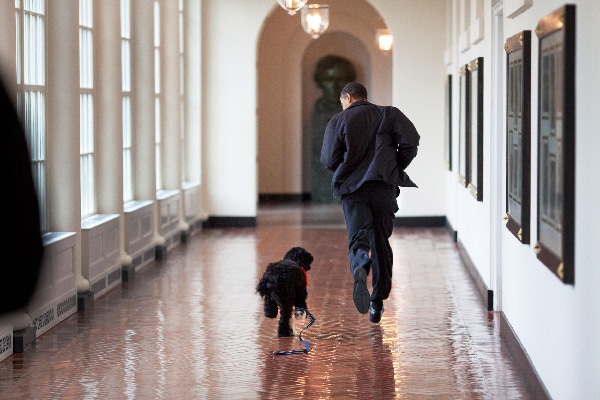 President Barack Obama runs down the East Colonnade with family dog "Bo." 