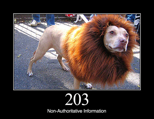 dogs codes confirmed http status codes are much funnier with dogs dogs codes confirmed http status codes are much funnier with dogs