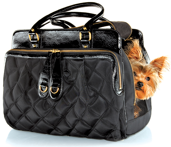 yorkie purse carrier chanukkah gifts for er chewish dogs and their yorkie purse carrier chanukkah gifts for er chewish dogs and their