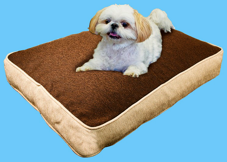 my pillow dog