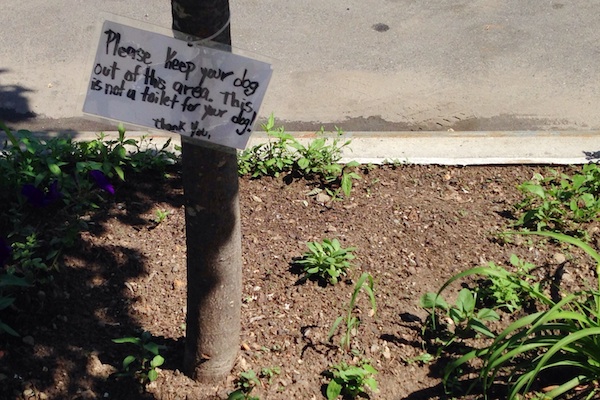 aggressive puppy signs 6 passive aggressive signs we found in aggressive puppy signs 6 passive aggressive signs we found in