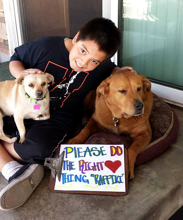 Screening Potential Dog Adopters Screening Potential Dog Adopters