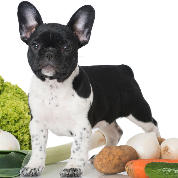 A dog posing with vegetables and potatoes. 