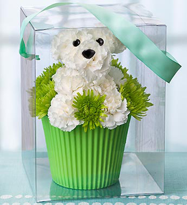 flowers with stuffed dog