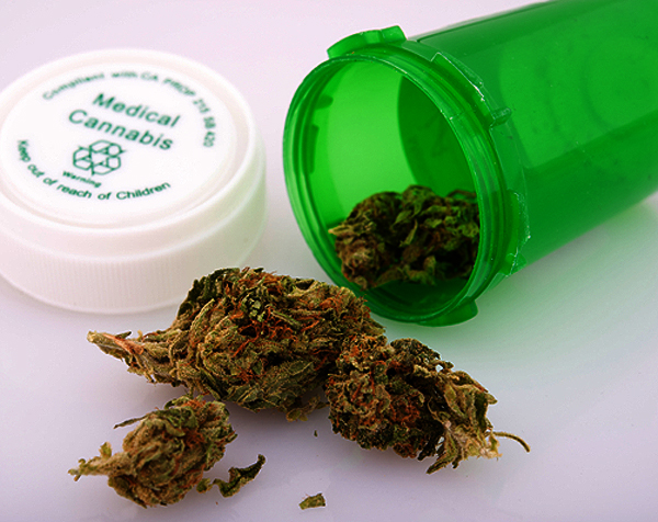 cannabis for dogs marijuana may soon be for dogs in nevada cannabis for dogs marijuana may soon be for dogs in nevada