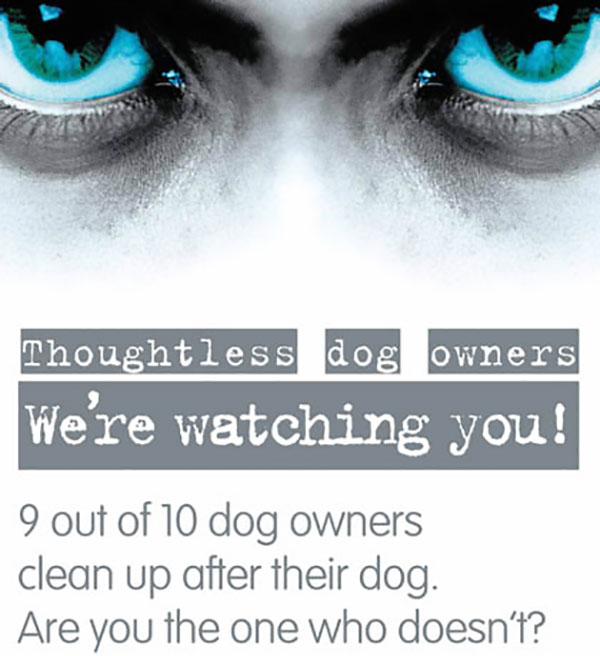 We Are Watching You Dog Poo Poster We Are Watching You Dog Poo Poster