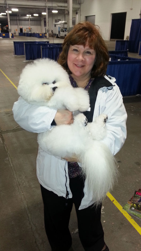 Philadelphia Kennel Club Dog Show Herding Group Winners Philadelphia Kennel Club Dog Show Herding Group Winners