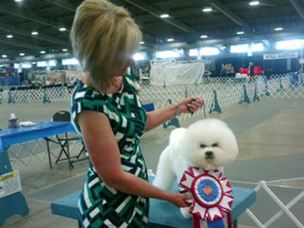 Philadelphia Kennel Club Dog Show Herding Group Winners Philadelphia Kennel Club Dog Show Herding Group Winners