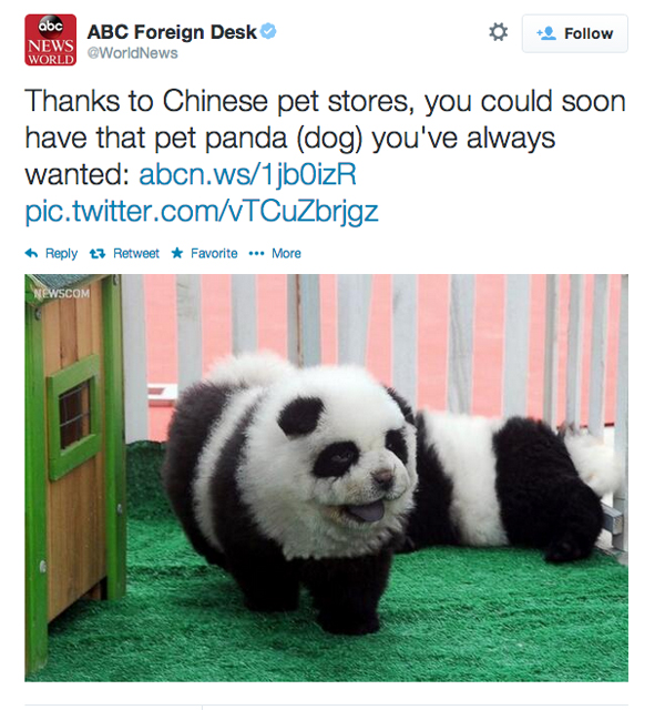 panda puppy panda craze sweeps china panda puppy panda craze sweeps china
