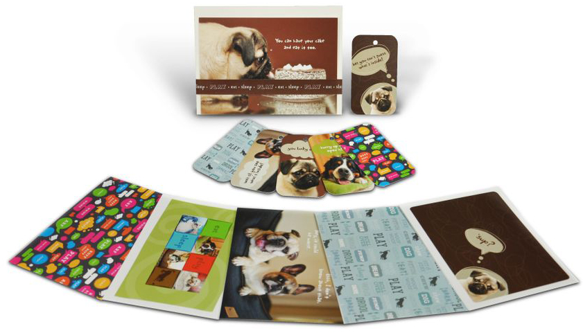 Yay! It’s Four Weeks of Freebies from Dogster and P.L.A.Y.