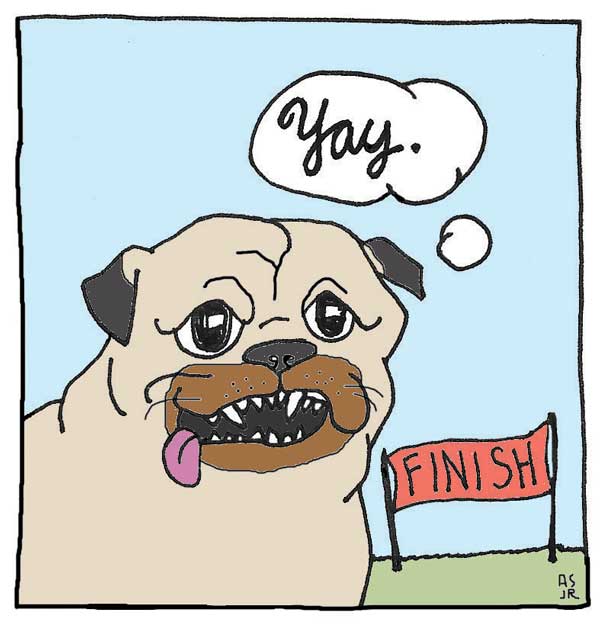 why do pugs tongues hang out i went on a charity walk with my pug and he drove me nuts why do pugs tongues hang out i went on a charity walk with my pug and he drove me nuts