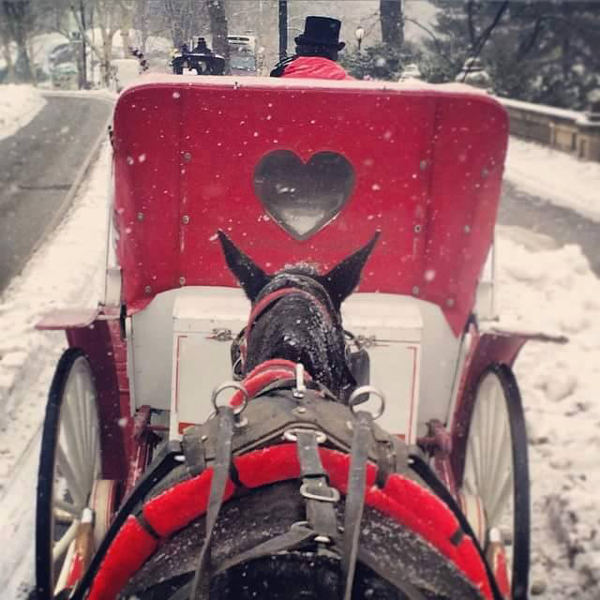 valentine-horse-carriage.jpg