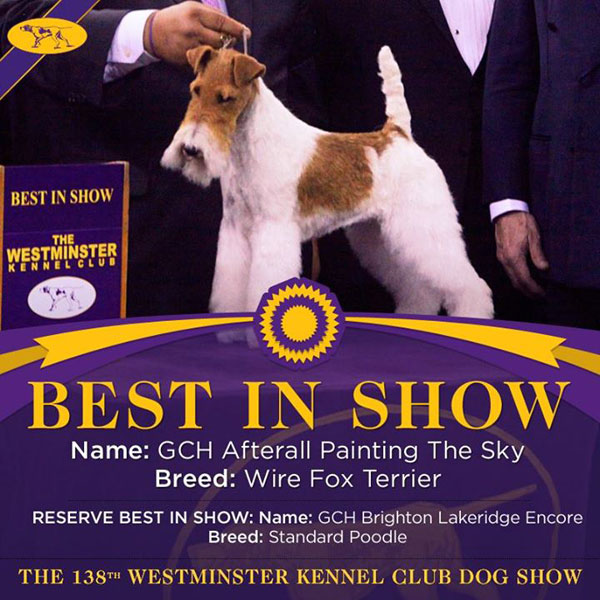 Westminster Kennel Club Dog Show Winners Westminster Kennel Club Dog Show Winners