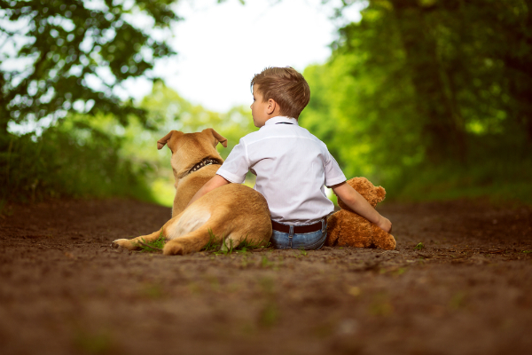 A boy sitting with his two dogs. Image via Shutterstock. 