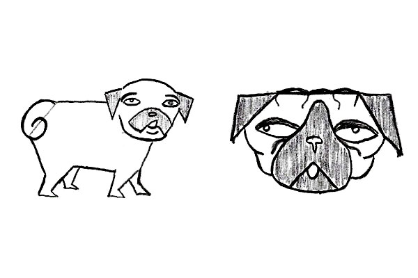 why do pugs eat their own melvin pe 241 a author at dogster page 3 of 8 why do pugs eat their own melvin pe 241 a author at dogster page 3 of 8