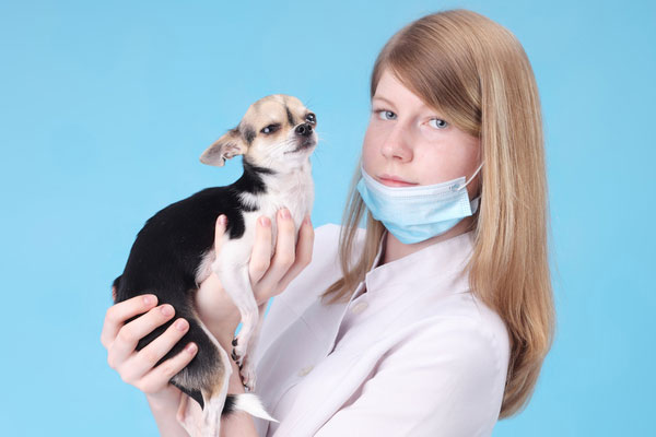 Ursodiol Actigall For Dogs