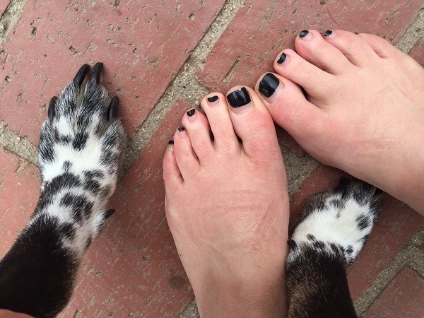 Riggins and my feet. We both need them tended to! (Photo by Wendy Newell)