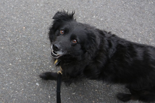 LIlah checks in as we walk.