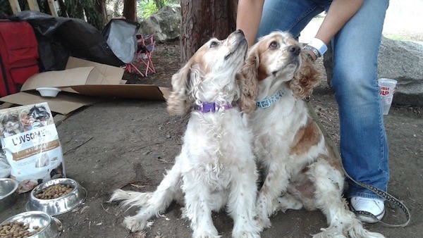 Mercedes and Benz. (Photo courtesy Julie Austin)