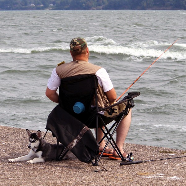 can dogs eat salmon can dogs eat seafood can dogs eat salmon can dogs eat seafood