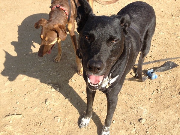 "The sun is in my eyes mom. Just take the picture!" (Photo by Wendy Newell)