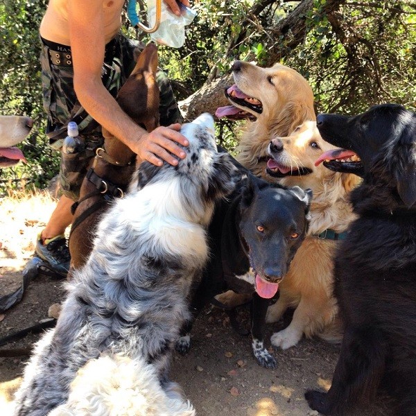 Riggins "finds the shade" and a lot of friends! (Photo by Wendy Newell)
