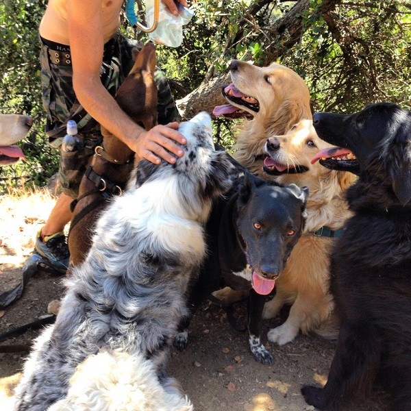 Riggins "finds the shade" and a lot of friends! (Photo by Wendy Newell)