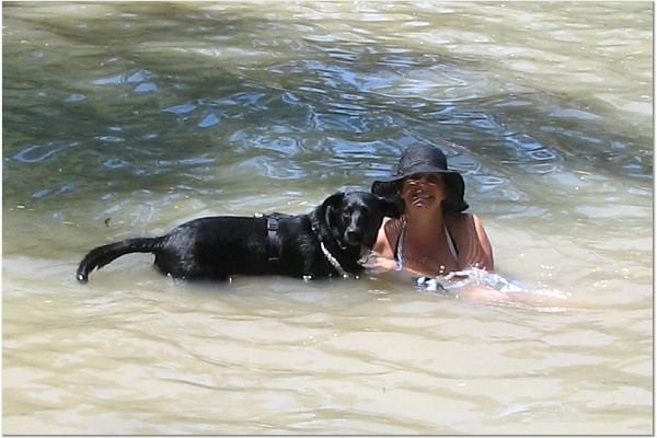 One of the few times Riggins has gone swimming. By swimming I mean wading out and trying to save me by climbing up on my head. (Photo by Wendy Newell)