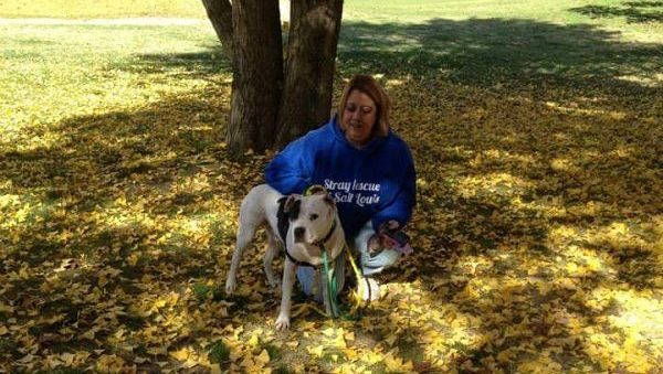 Tina Roe Reunites the Lost Pets of St. Louis With Their Families