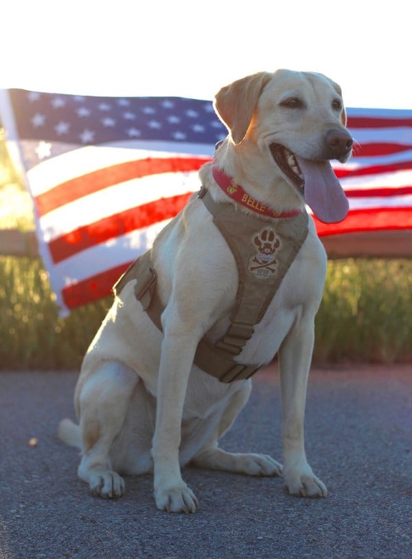 Belle didn't know it yet, but one day she too would return to the U.S.A. (All photos courtesy Sam and Jessica Wettstein)