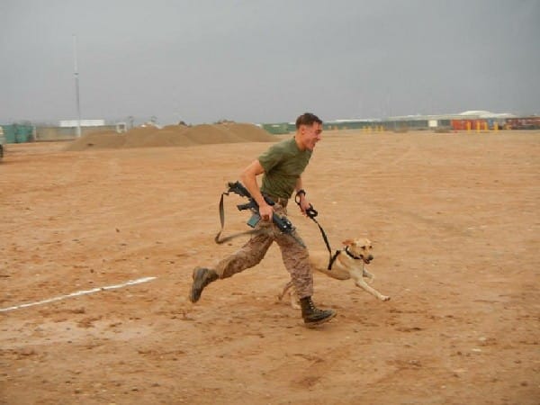 Sgt. Sam Wettstein and Belle working overseas.