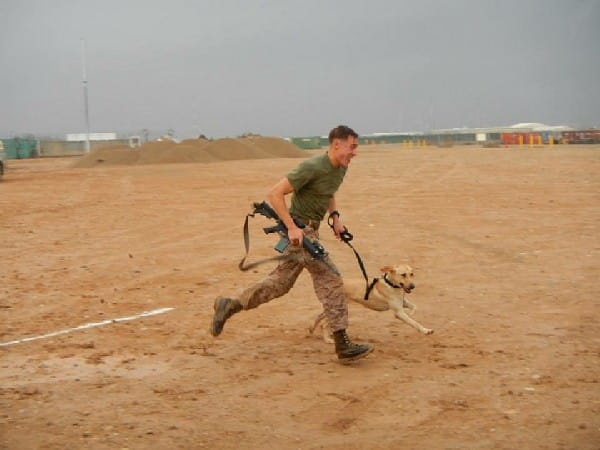 Sgt. Sam Wettstein and Belle working overseas. 