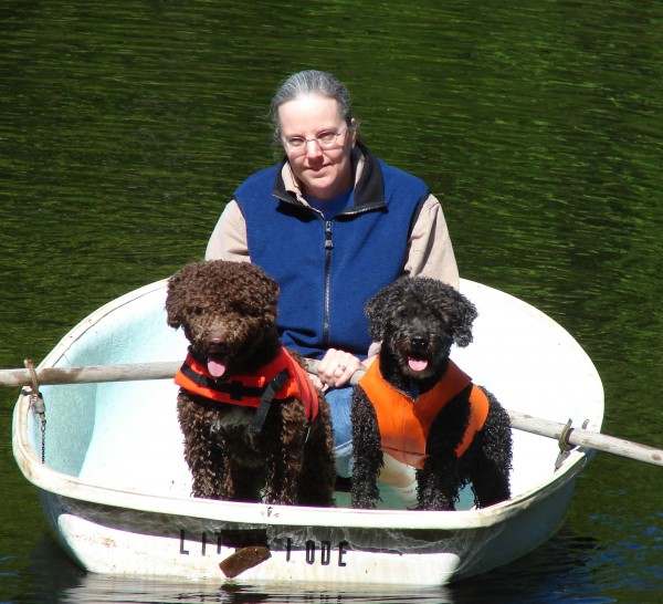 Spanish Water Dog courtesy Nancy Valley