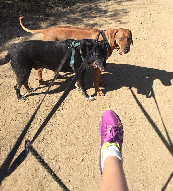 Riggins and his friend Kili want me to stop taking pictures of my feet and get going! (Photo by Wendy Newell)