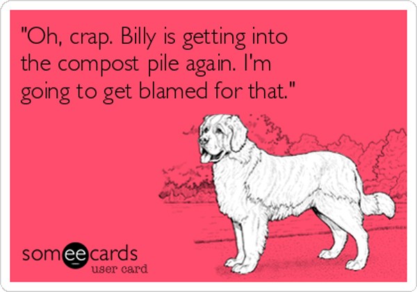 oh-crap-billy-is-getting-into-the-compost-pile-again-im-going-to-get-blamed-for-that-ada3f-2