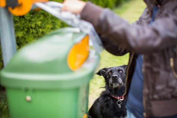 Woman disposing of poop by Shutterstock.