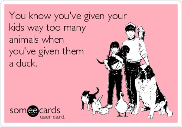 you-know-youve-given-your-kids-way-too-many-animals-when-youve-given-them-a-duck-96456