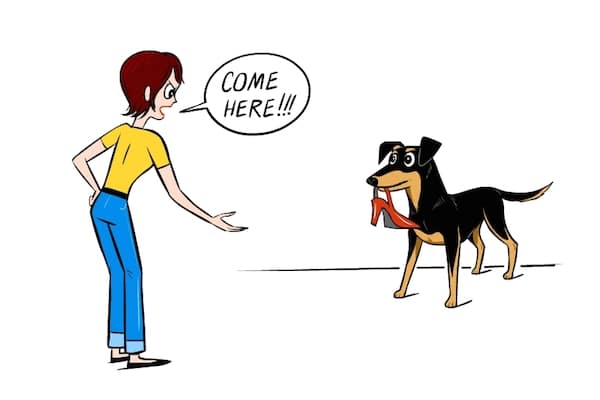 Kids playground cartoon concept background. — stock photo © lightkite Good Advice - Dogster