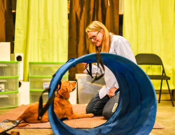 Annie working with a dog on an agility course. Photo Credit: Tica Clarke Photography