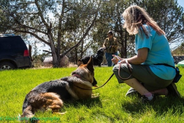 Annie using positive reinforcement strategies to work with a client. Photo Credit: Tica Clarke Photography