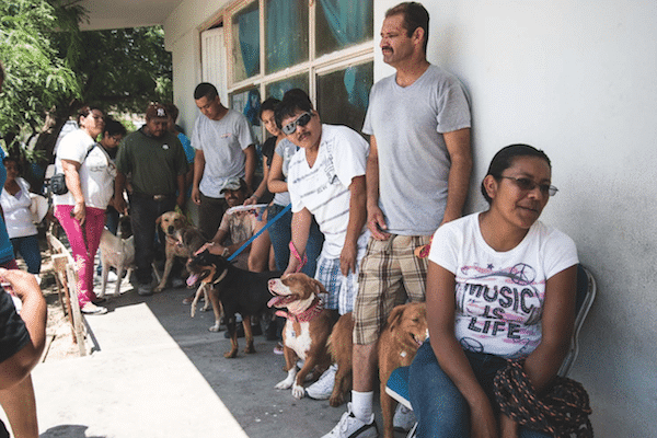 Dogs and their people wait in line at a Mexico clinic.