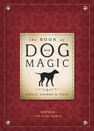 dog-magic-cover