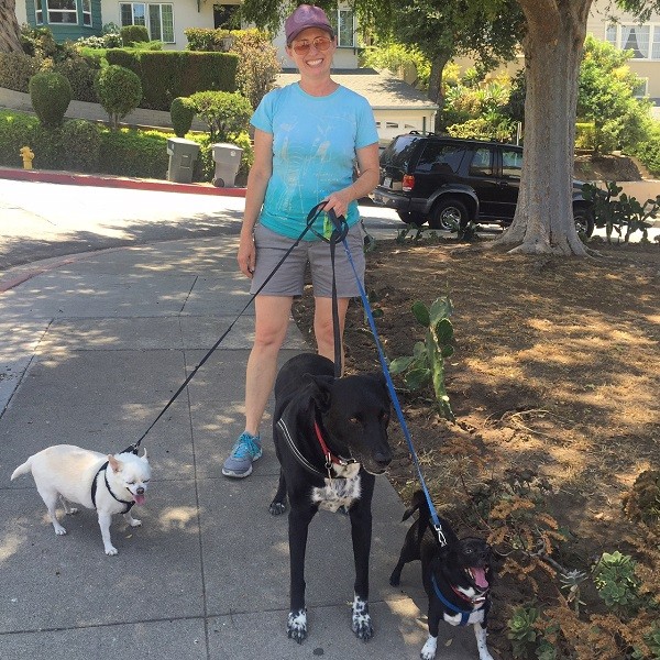Riggins on a walk with Kris, Fredo and Louie. (Photo by Wendy Newell)