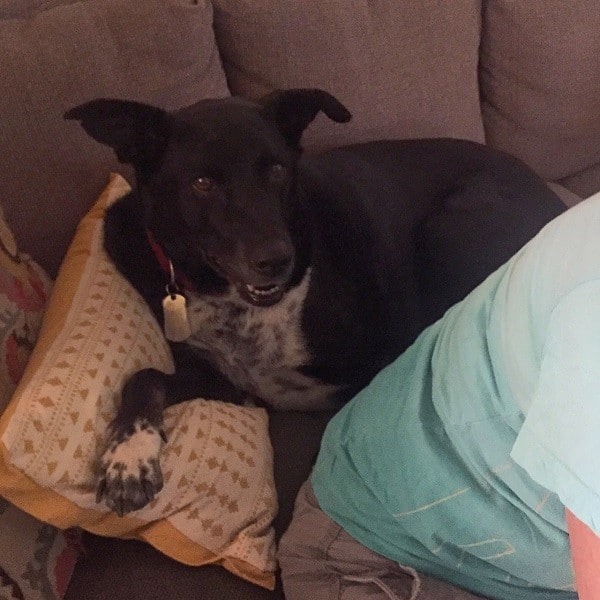 Snuggling on the sofa behind his second Mommy. (Photo by Wendy Newell)