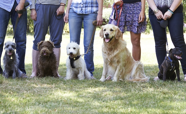 shutterstock_304835723