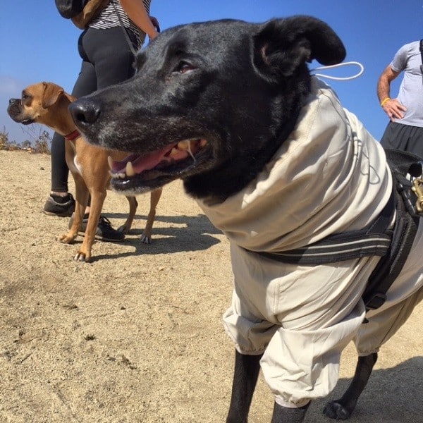 Keeping LA safe from paranormal activity. (Photo by Wendy Newell)