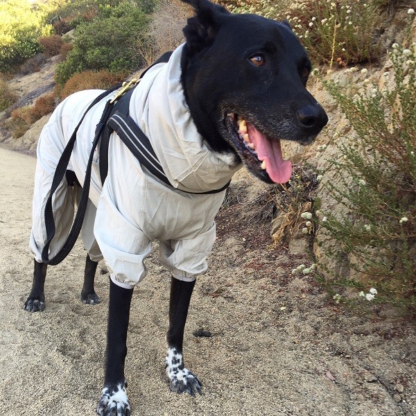 Riggins takes a break on the trail with his Sun & Bug Blocker on. (Photo by Wendy Newell)