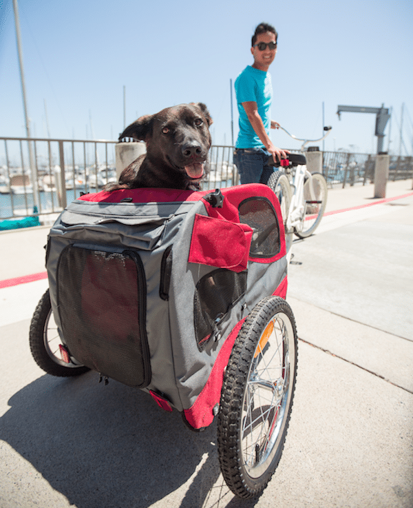 Take your dog along for the ride in a trailer. Finding the right one for your dog depends on his size and weight. When in doubt, check with your vet. Solvit’s Medium HoundAbout Bicycle Trailer, Steel; $224.99.