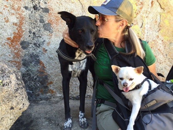 Riggins cuddles up to one of his favorite humans, Kris Saints, as Fredo watches. (Photo by Wendy Newell)