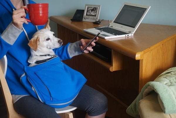 Checking my emails and having a coffee with Marshy cozy in my pocket. (Photo by Heather Marcoux)